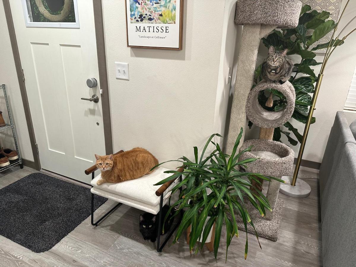 Central Tacoma Homestay With Breakfast Included -Private Room- Exteriör bild