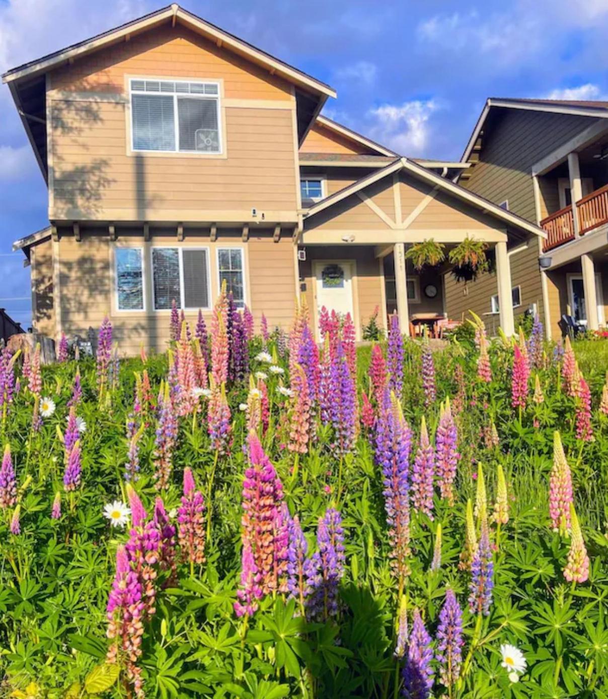 Central Tacoma Homestay With Breakfast Included -Private Room- Exteriör bild